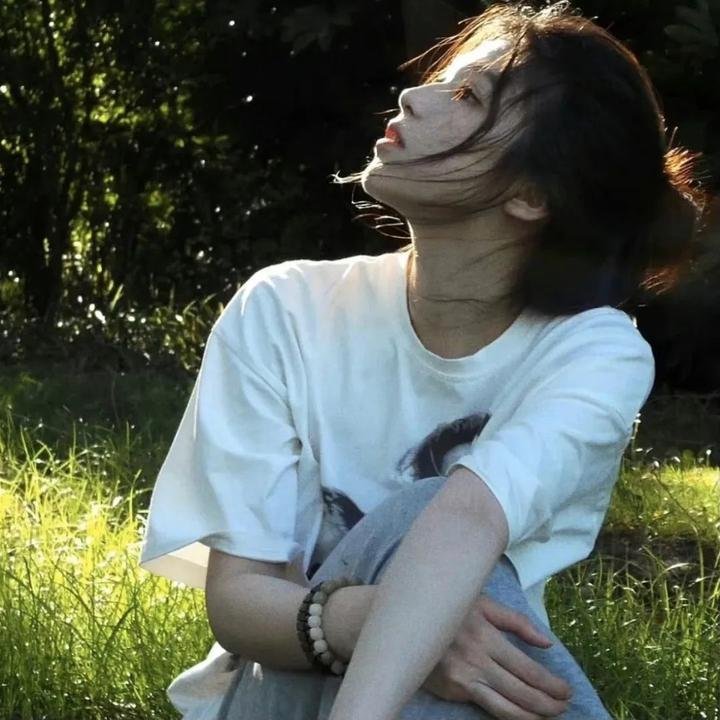 大明悬案录之鉴影篇